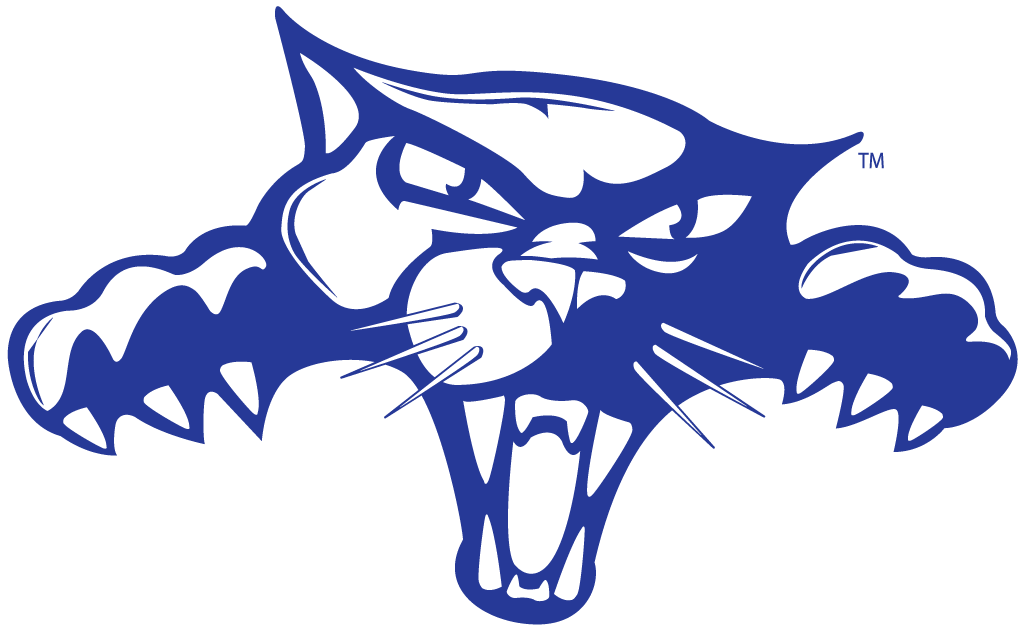 High Point Panthers 2004-Pres Alternate Logo v6 diy fabric transfer